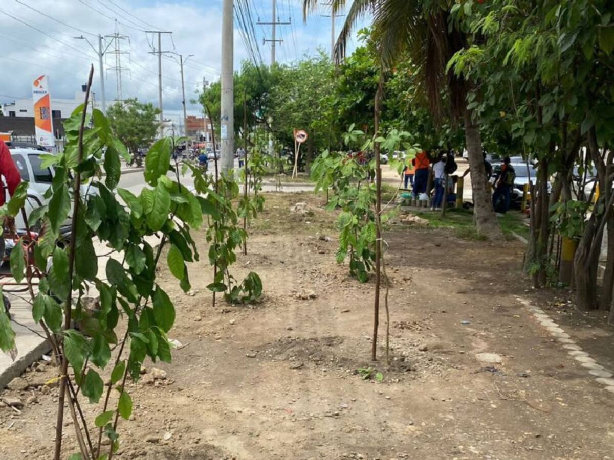 Recuperan espacio público en parque de Martínez Martelo