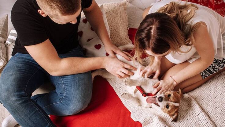 Conoce los ganadores de 1 noche con tu mascota en NH Group