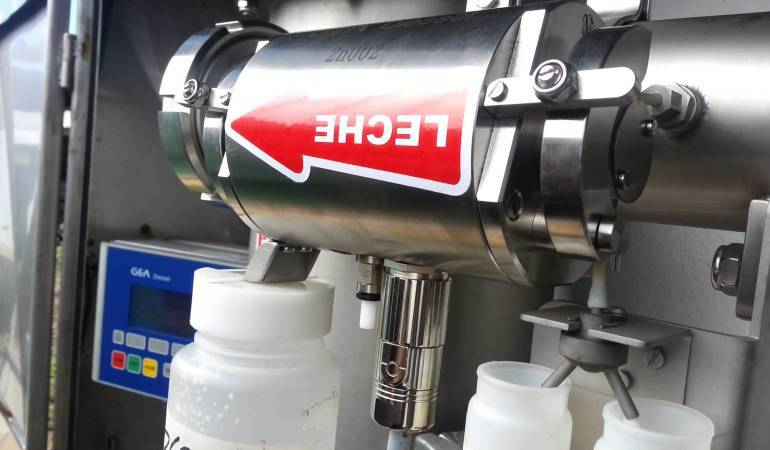 Producción del lácteo.