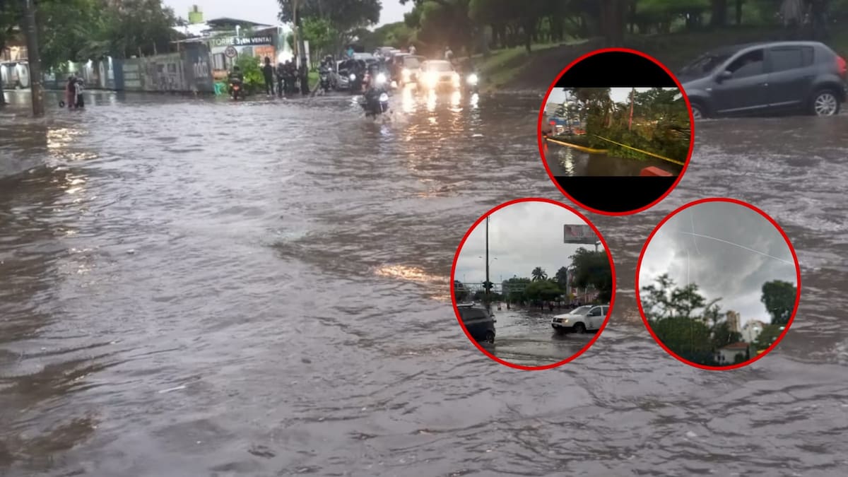 Aguacero con fuertes vientos sobre Cali causan inundaciones, caída de árboles y cableado eléctrico