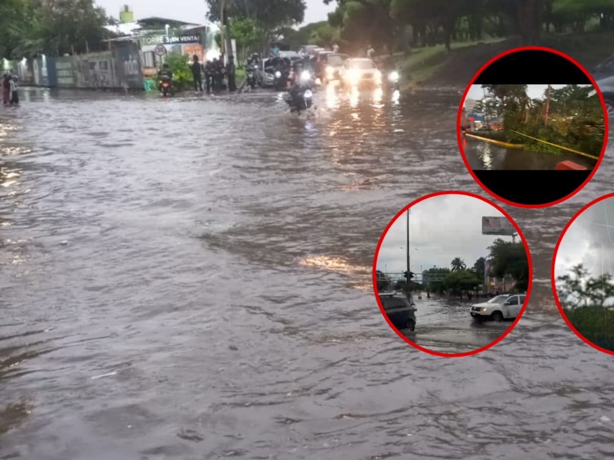 Aguacero con fuertes vientos sobre Cali causan inundaciones, caída de árboles y cableado eléctrico