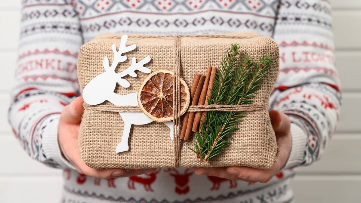 Navidad Verde”, celebre en armonía con la naturaleza. Prácticas amables y sostenibles para navidad de la WWF Colombia