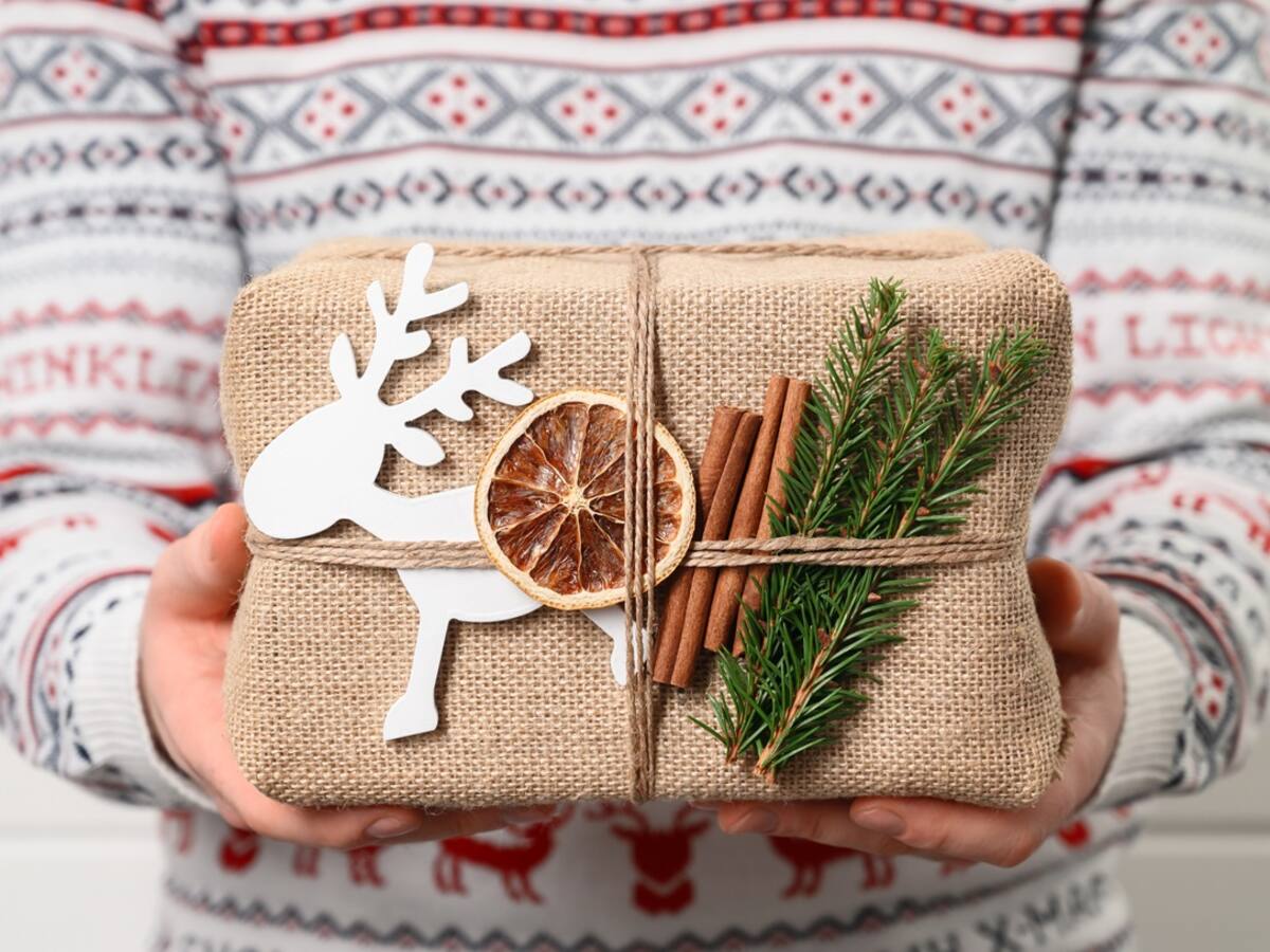 “Navidad Verde”, celebre la época más linda del año en armonía con la naturaleza.