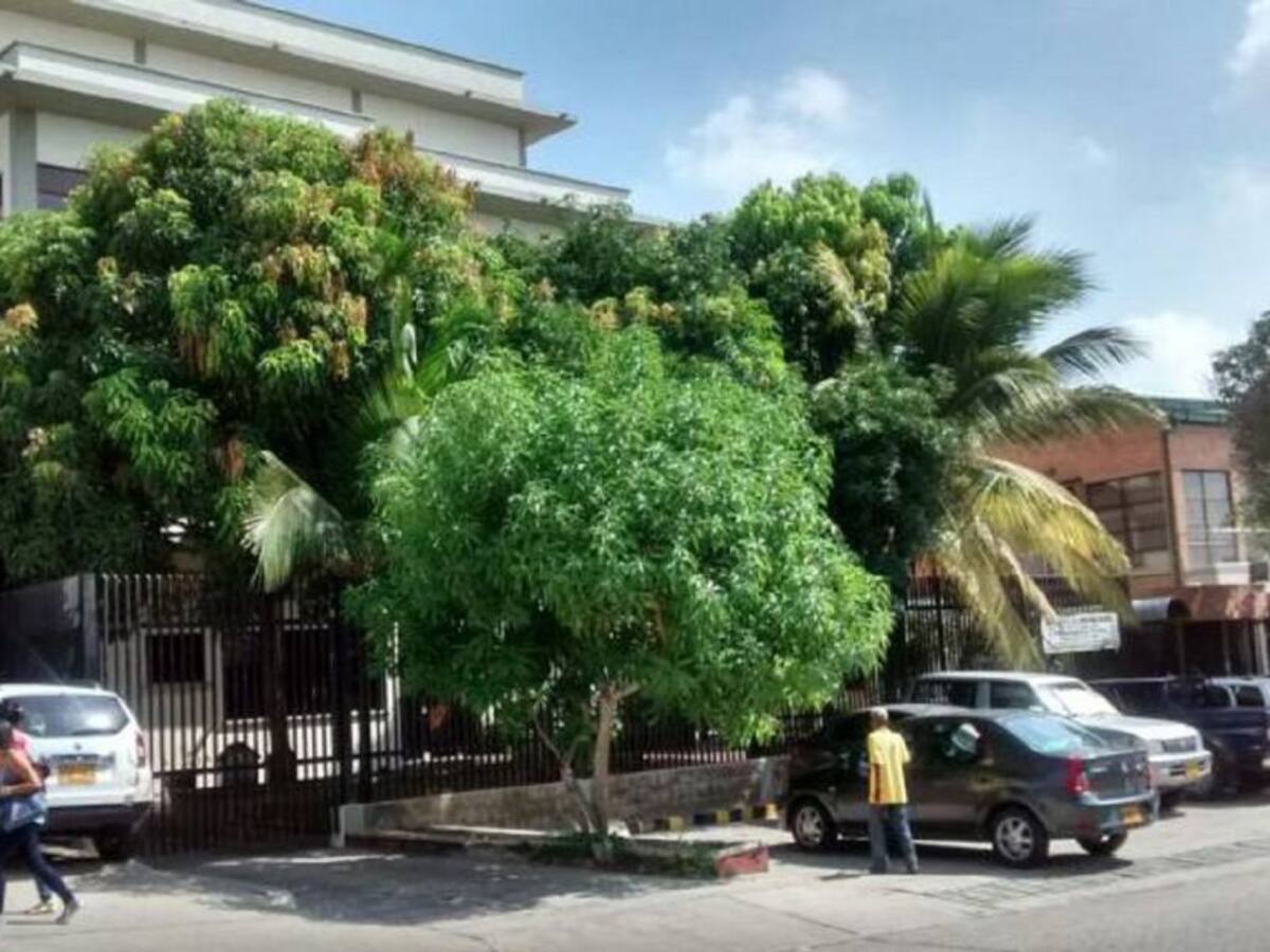 “Que se muevan las autoridades”: pareja de mujer asesinada en Malambo