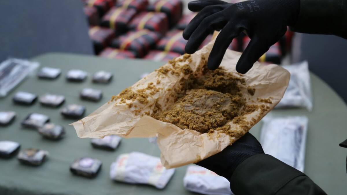 Decomisada más de media tonelada de marihuana en las carreteras de Caldas
