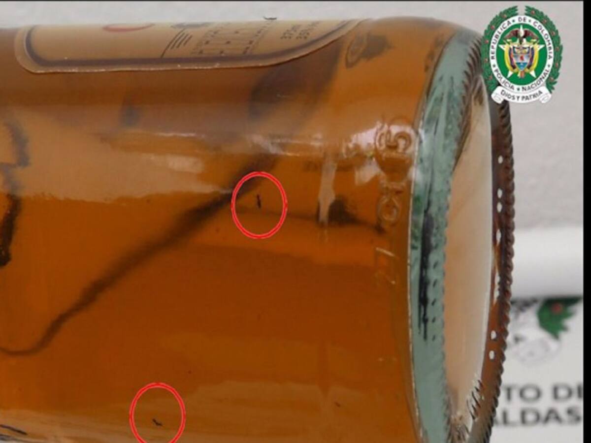 ¿Cómo reconocer que un licor es adulterado? Ojo en Navidad y fin de año