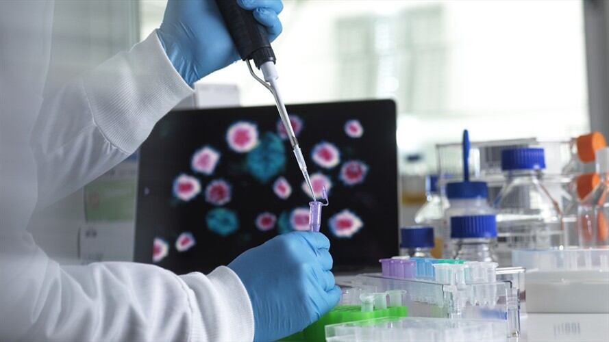 OMS clasifica variante colombiana del COVID-19 como de "interés". Foto: Getty Images /  Westend61