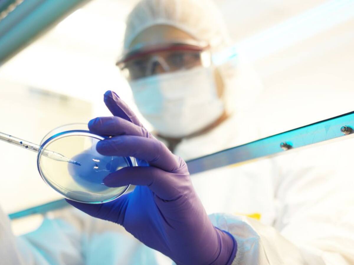 EE.UU admite que en Ucrania hay "instalaciones de investigación biológica"