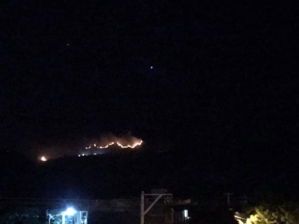 Incendios forestales en el Tolima dejan graves daños ambientales
