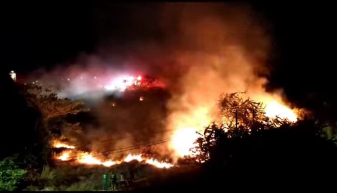 Vientos y altas temperaturas generan incendios forestales.