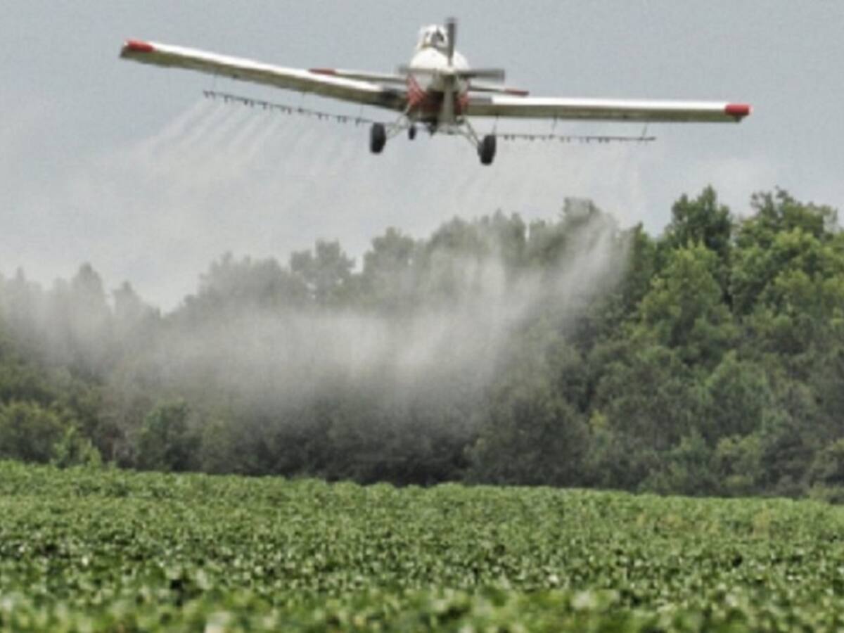 Diputados rechazan propuesta de fumigación de cultivos ilícitos