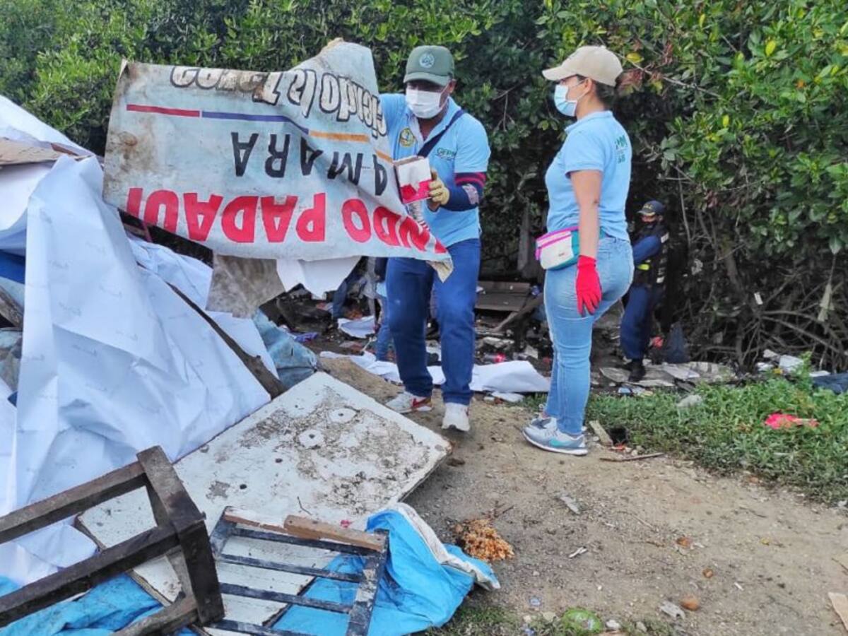Ocho cambuches intervenidos por estar en zona de mangles en Cartagena