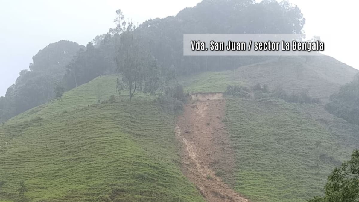 Alcalde de Génova, Diego Fernando Sicua