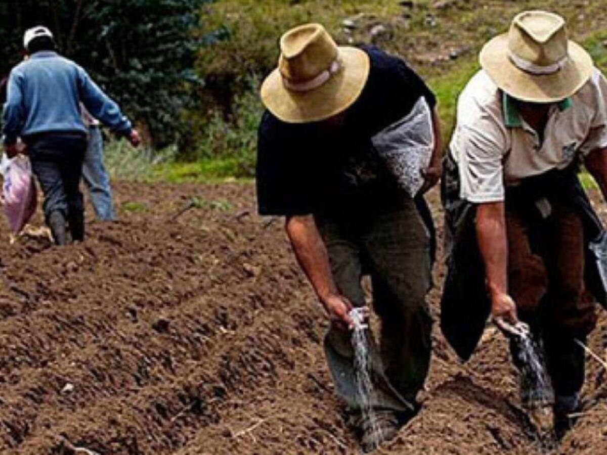 Precios de insumos agrícolas tiene en ‘jaque’ a campesinos del Huila