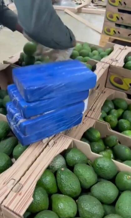 Incautación de cocaína en Puesto de Santa Marta// imagen tomada de vídeo compartido por @DirectorPolicia