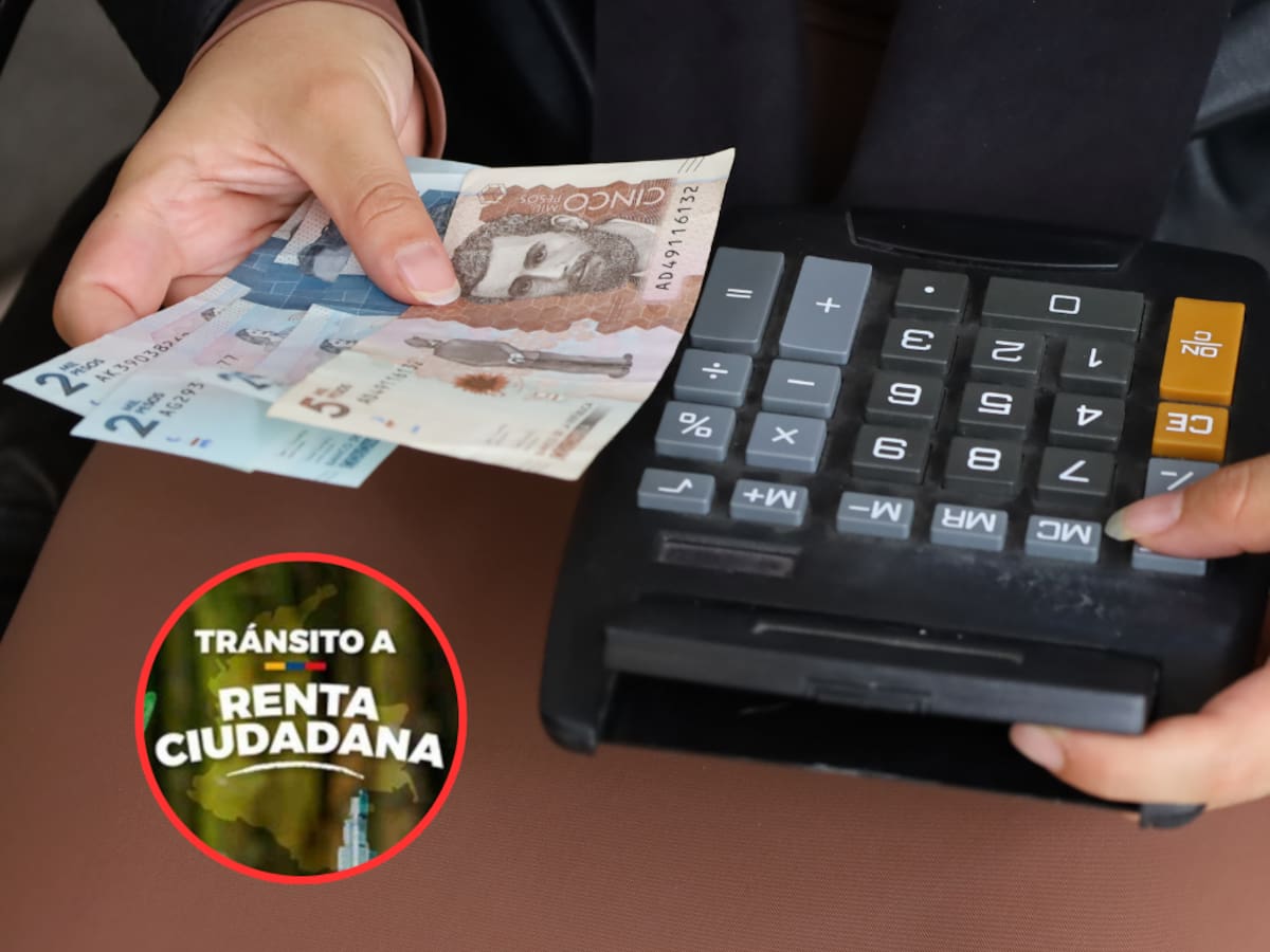 ¿Cómo saber cuánto le llega de Renta Ciudadana el 11 de noviembre? Calculadora digital