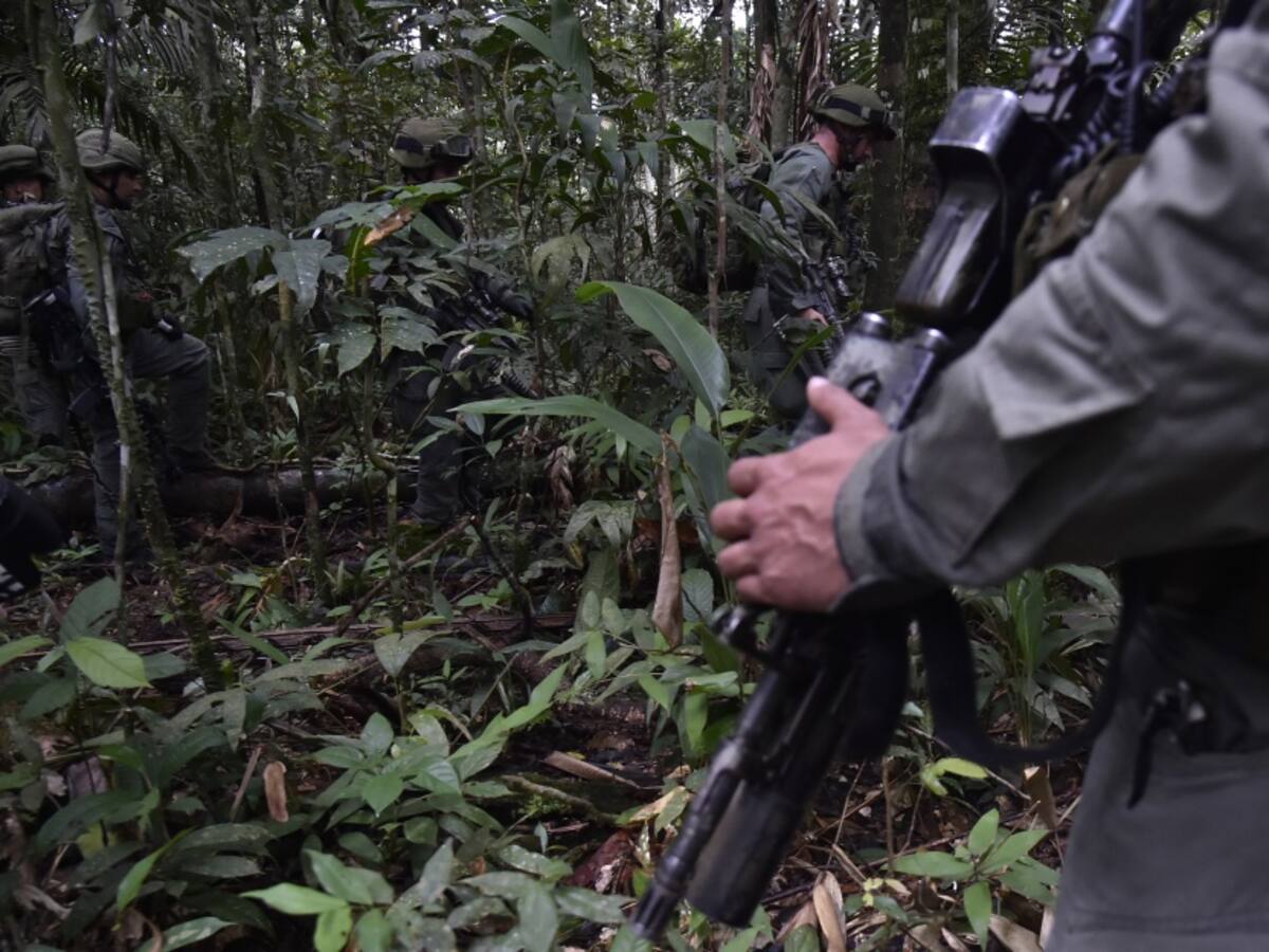Mueren 8 miembros de las disidencias armadas ilegales en Argelia, Cauca