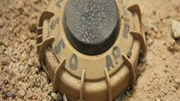 Más de la mitad de las víctimas de minas antipersona en este año han muerto