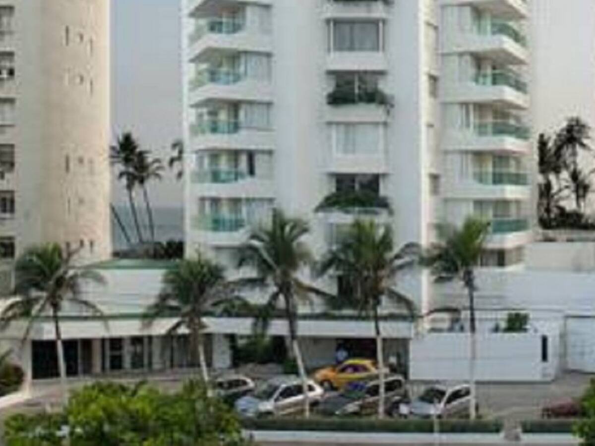 Hotel Dann asegura que plantaron 18 palmeras “Cola de Zorro” en El Laguito