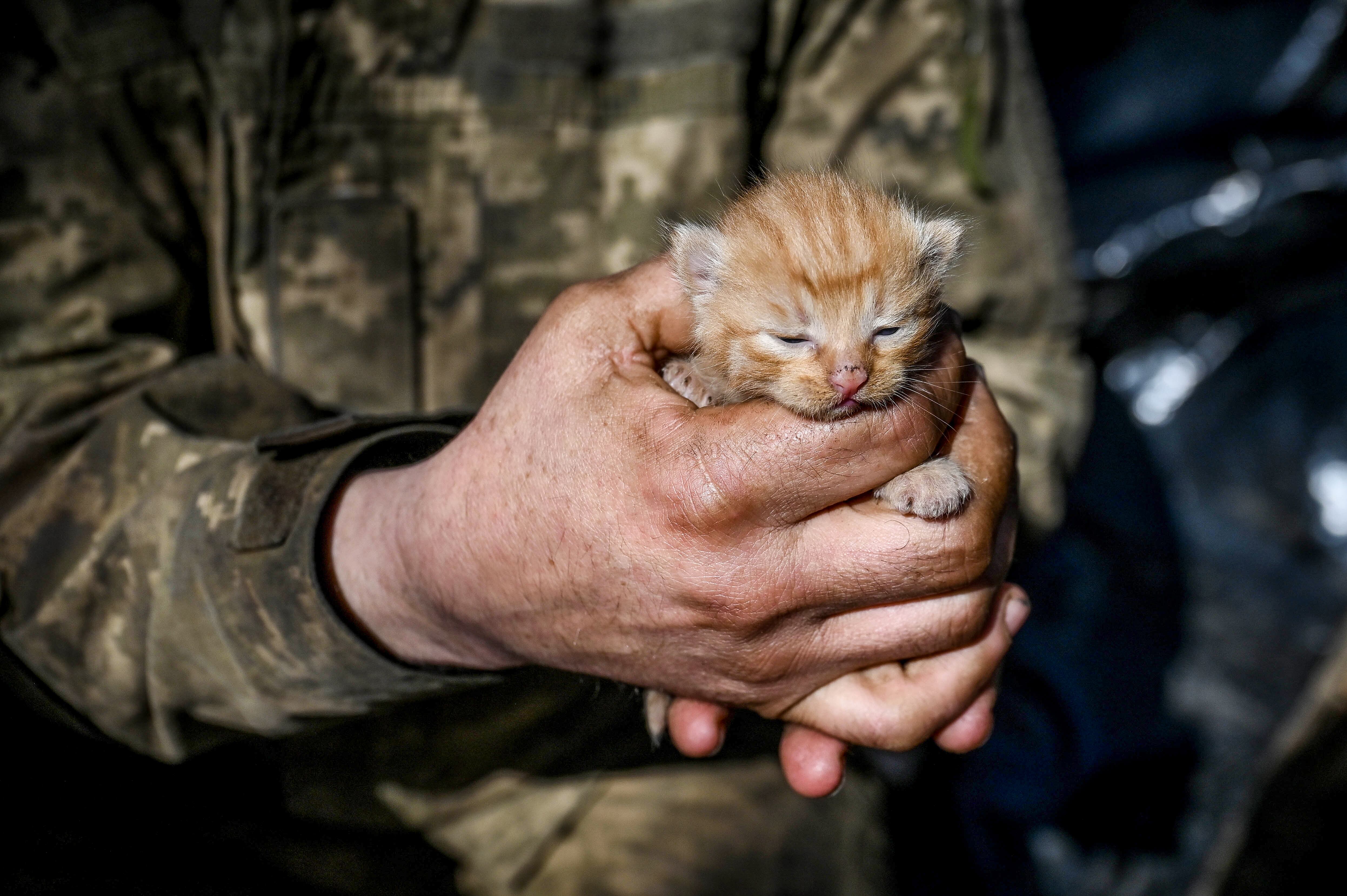 (Photo credit should read Dmytro Smolienko / Ukrinform/Future Publishing via Getty Images)