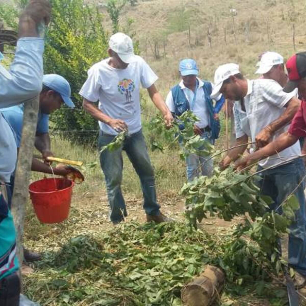 Al menos 42 mil familias campesinas a punto de perder sus viviendas por deudas con los bancos