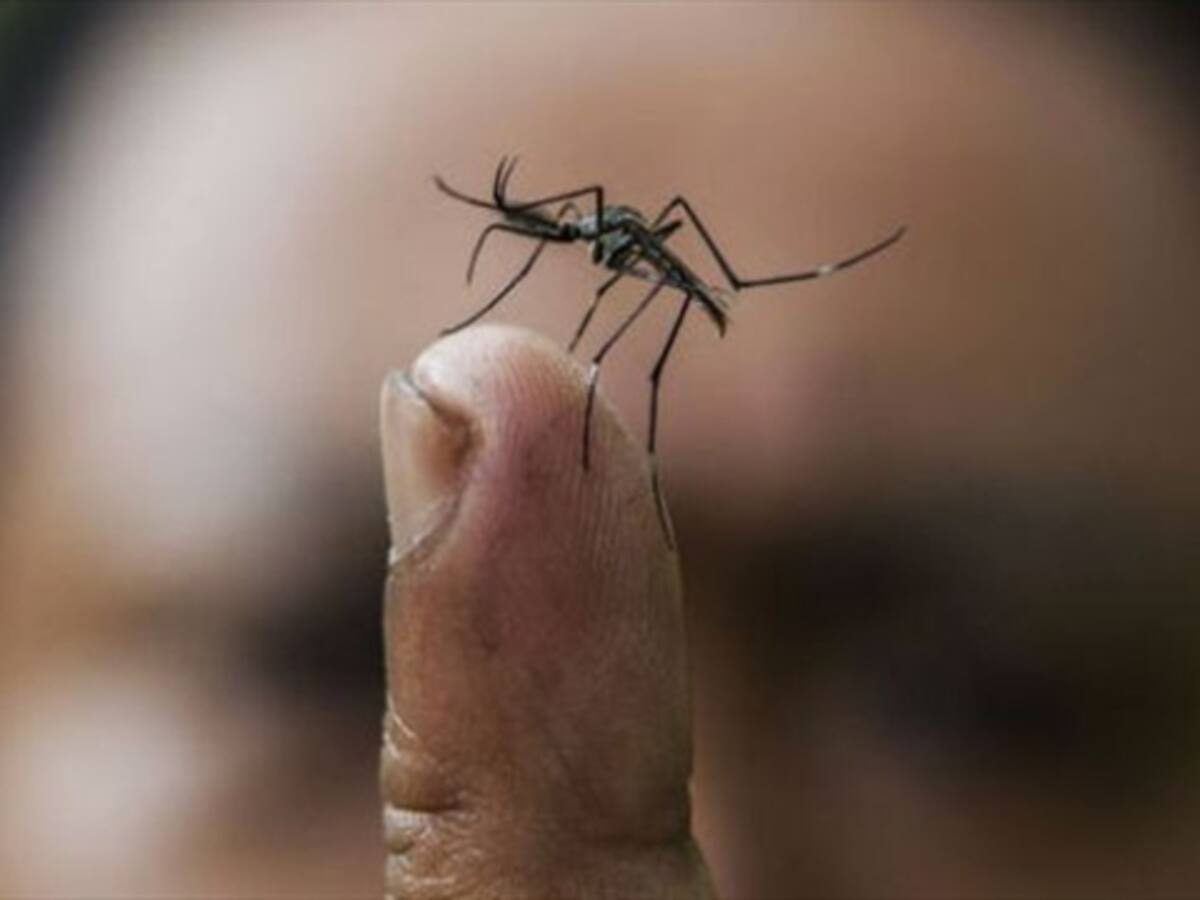 Alerta verde en la red hospitalaria del país por Zika