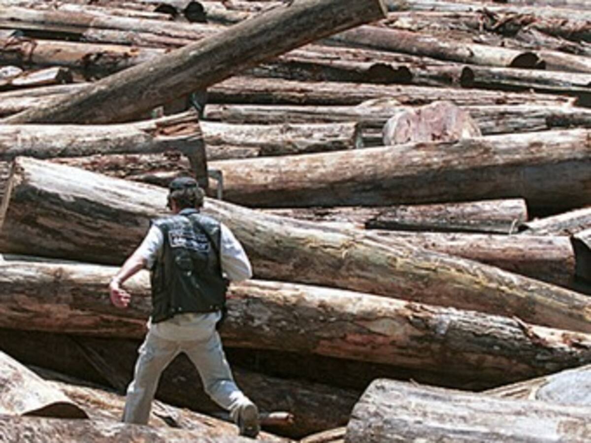 El narcotráfico y la corrupción están acabando a la Amazonía: Contraloría General