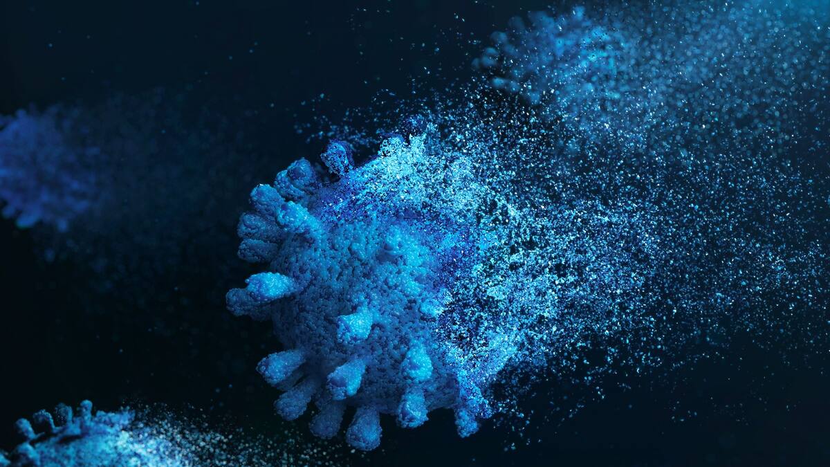 SANAMENTE EL COVID-19 03 DE AGOSTO