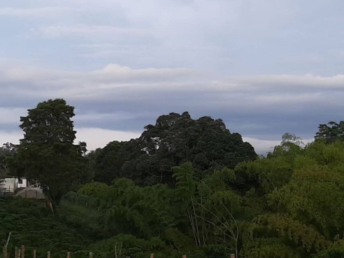 Viernes 10 de julio, las noticias más importantes de Armenia y el Quindío