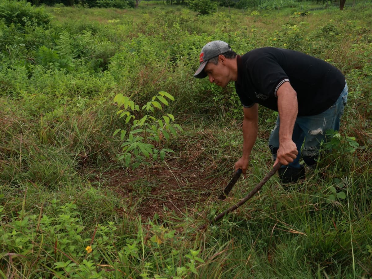 OCAD Centro Oriente aprueba más de $23 mil millones para fortalecer la agricultura en Boyacá