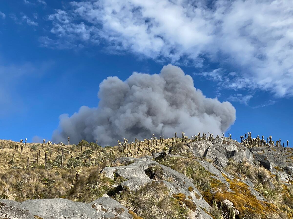Crédito: Gobernación de Caldas.