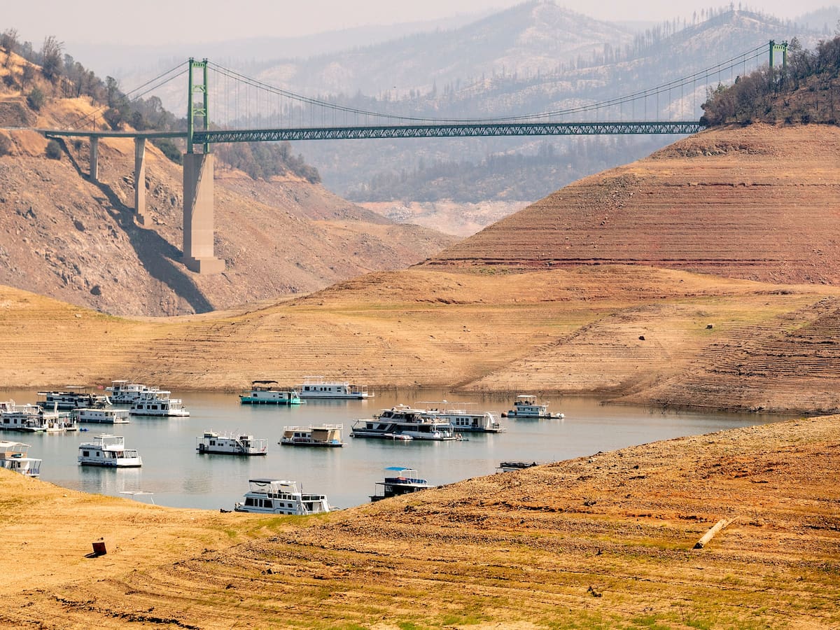 Las probabilidades de sequía aumentaron 20 veces por el cambio climático