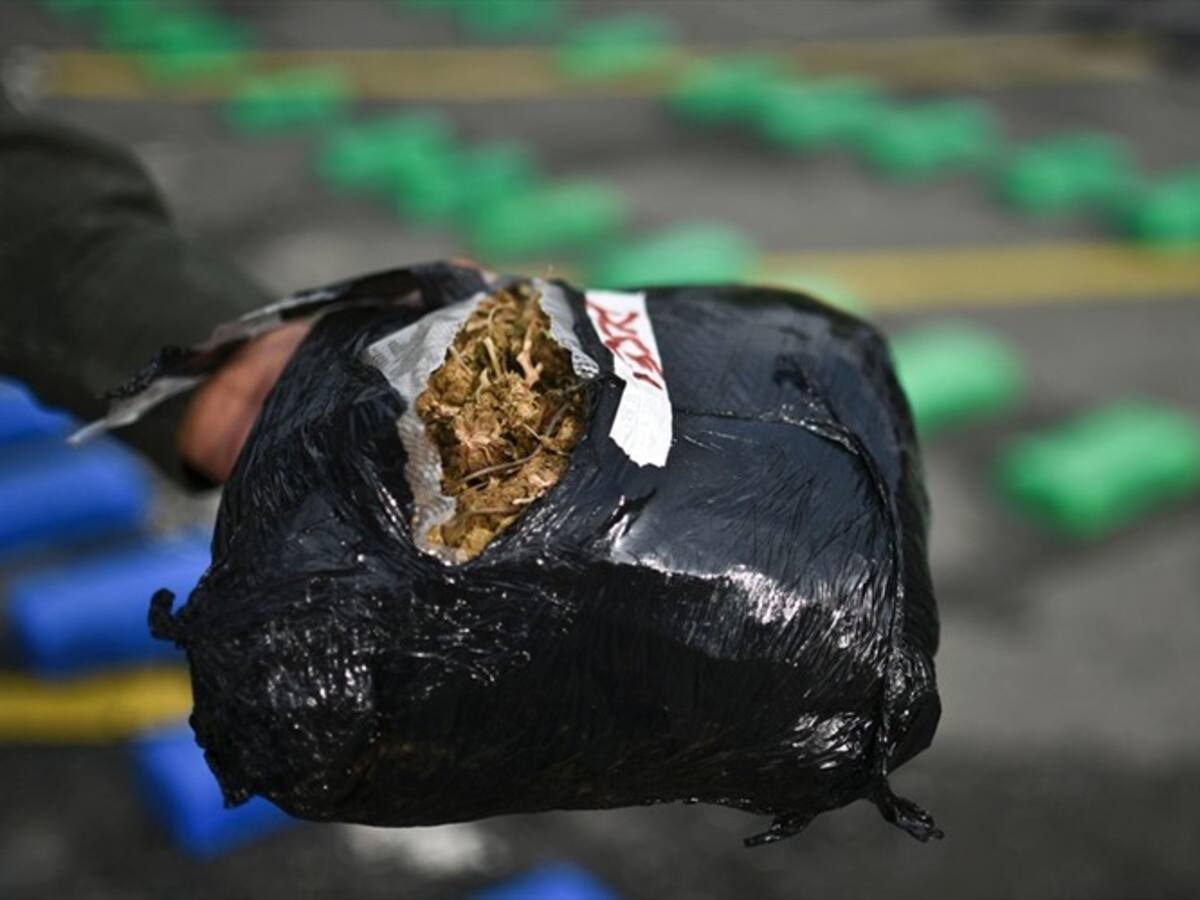Algunos resguardos indígenas en el Cauca conviven con el mal del narcotráfico: Ejército