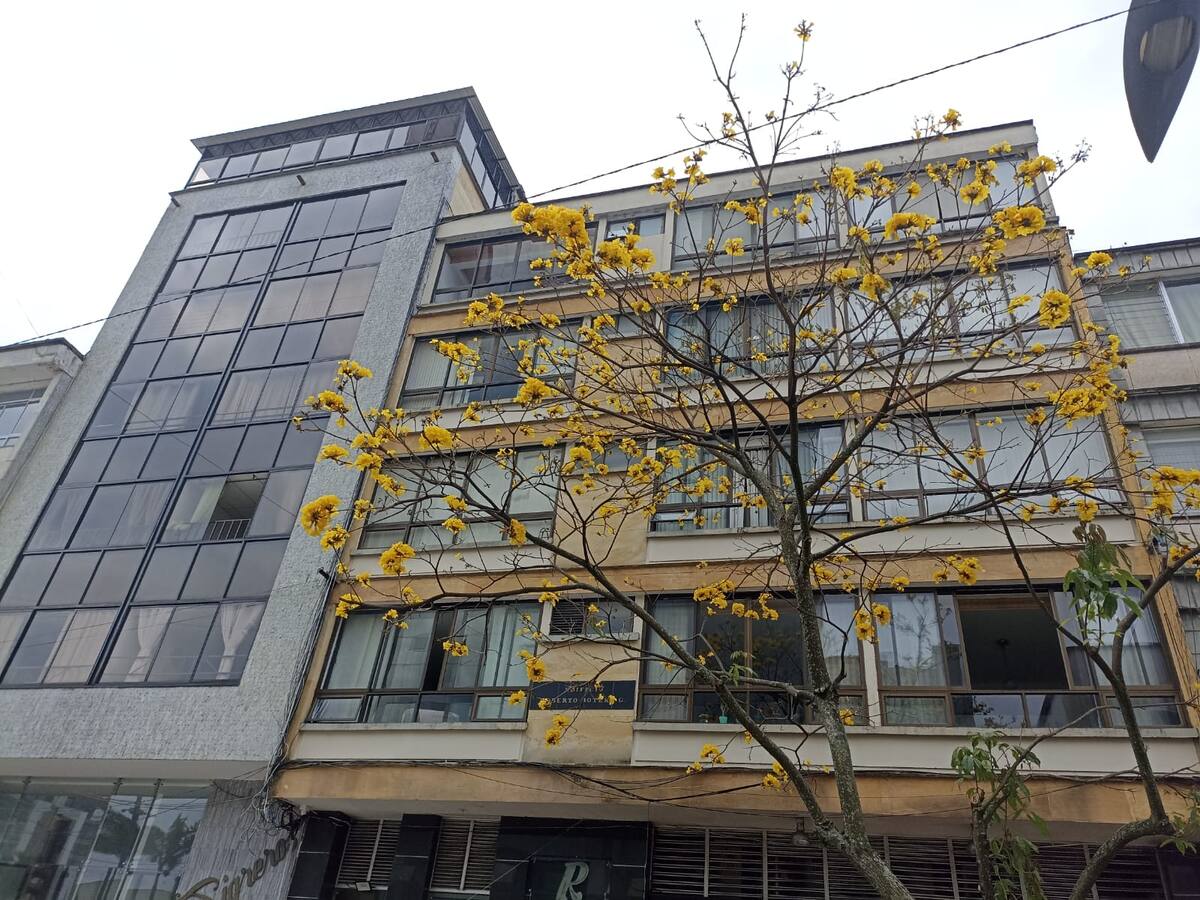 Viernes 24 de febrero, las noticias más importantes de Armenia y Quindío