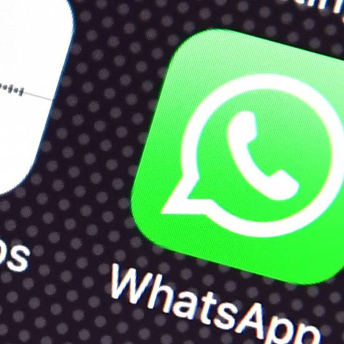 ¿Hay que hacer copia de seguridad de WhatsApp antes del 12 de noviembre?
