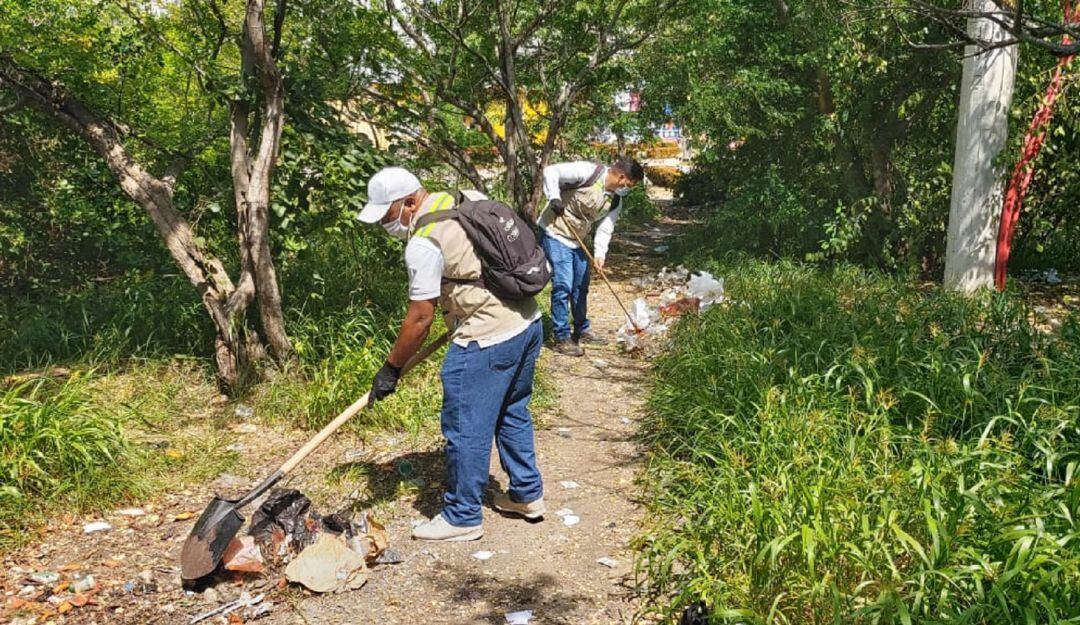 Actualmente se trabaja en la formulación de un proyecto que busca convertir el sitio en el “Ecomanglar de Estudios”