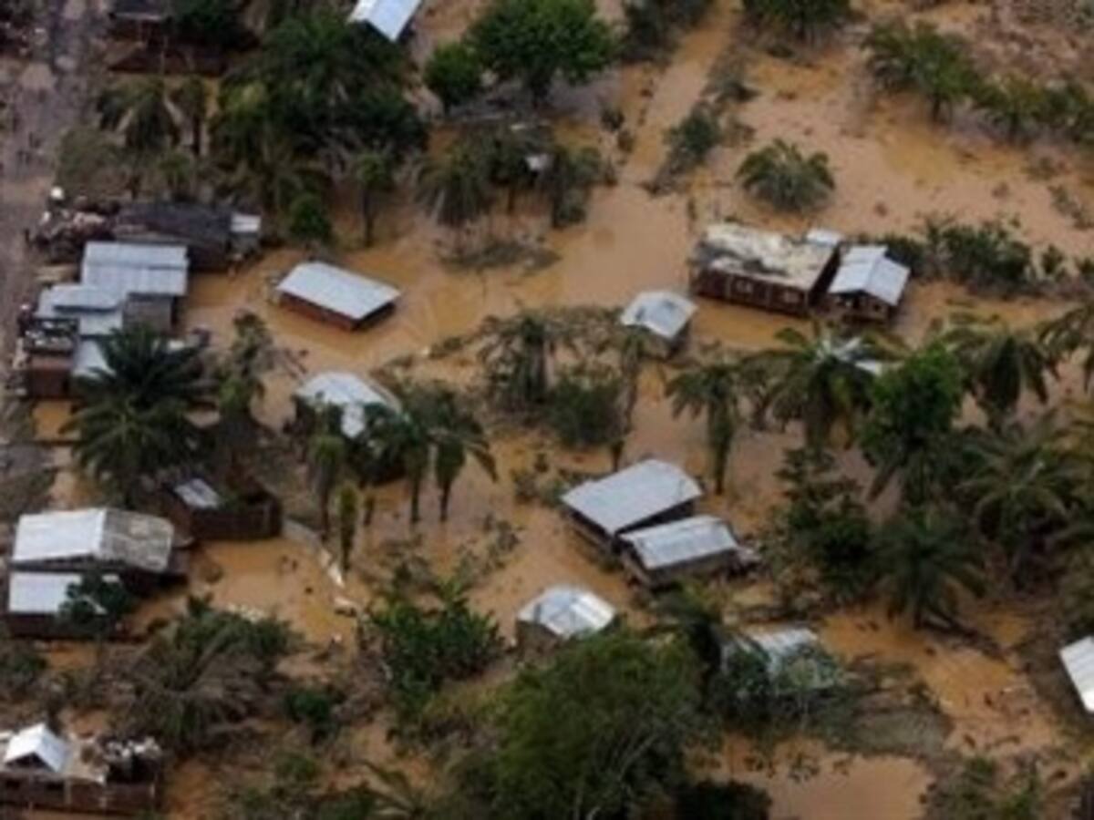 Diez expertos proponen salidas a problemas ambientales en Colombia