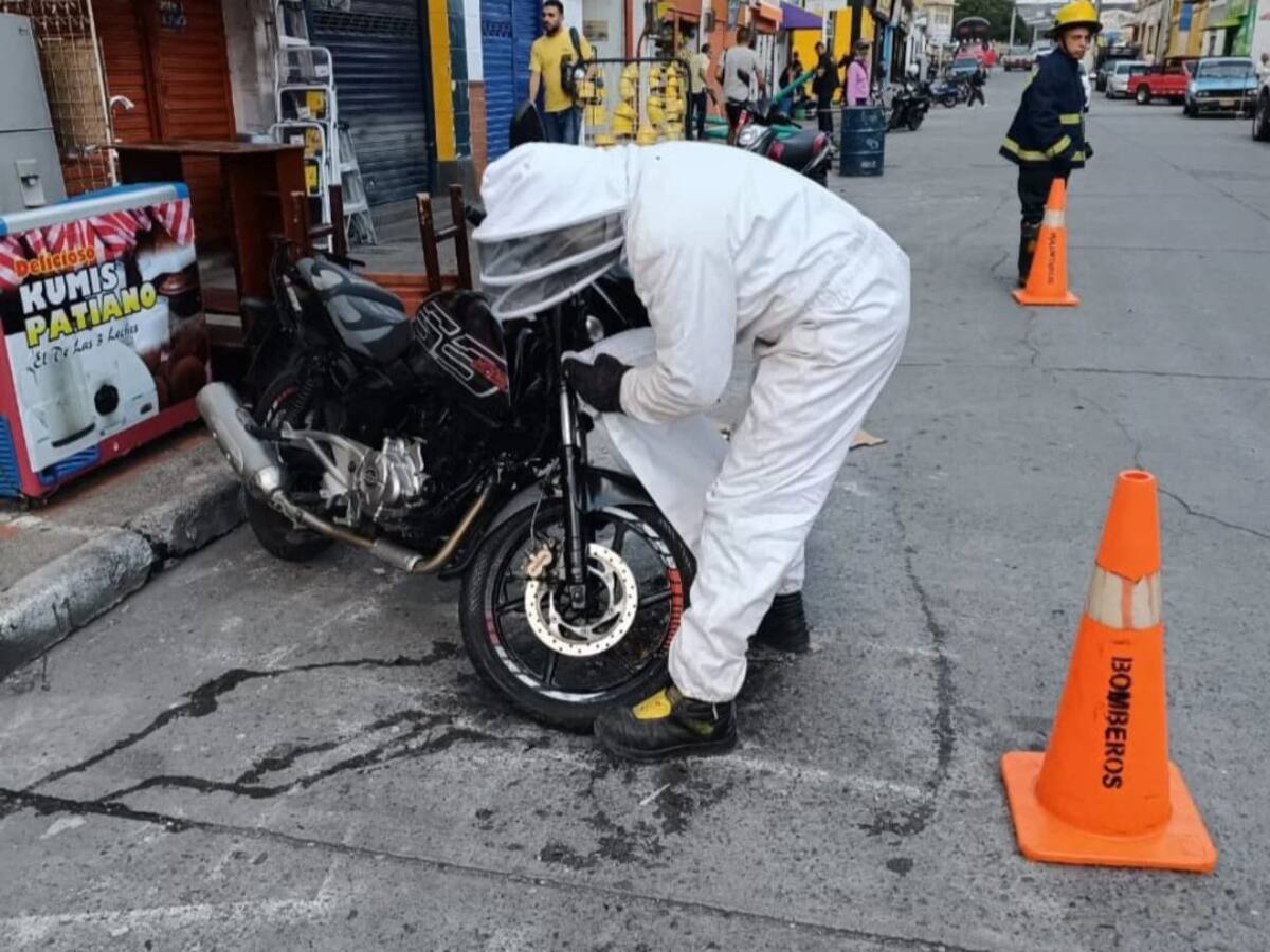 Bomberos voluntarios en Armenia atendieron caso de abejas en una motocicleta