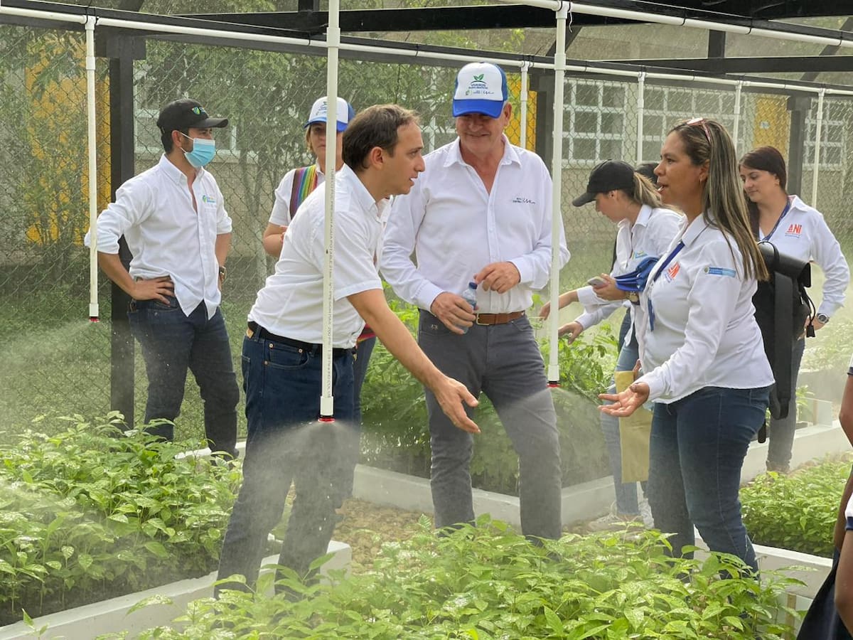 Cardique y Ruta Costera entregaron viveros bioclimáticos en zona norte de Cartagena