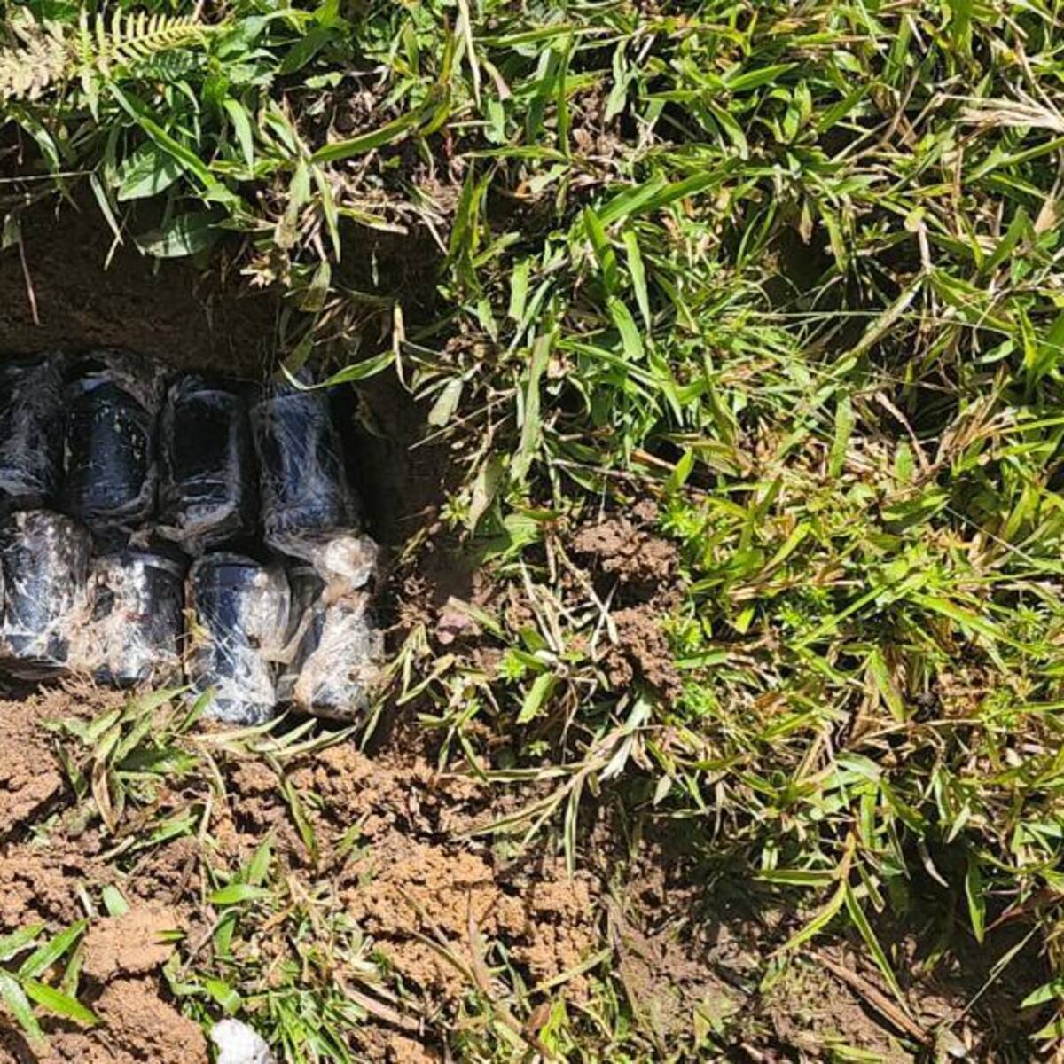 Ejército frustra plan terrorista con destrucción de explosivos en Caquetá