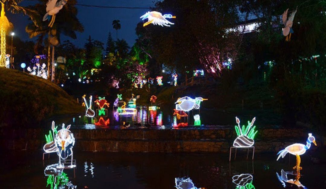 Alumbrado en el Parque de la Vida de Armenia