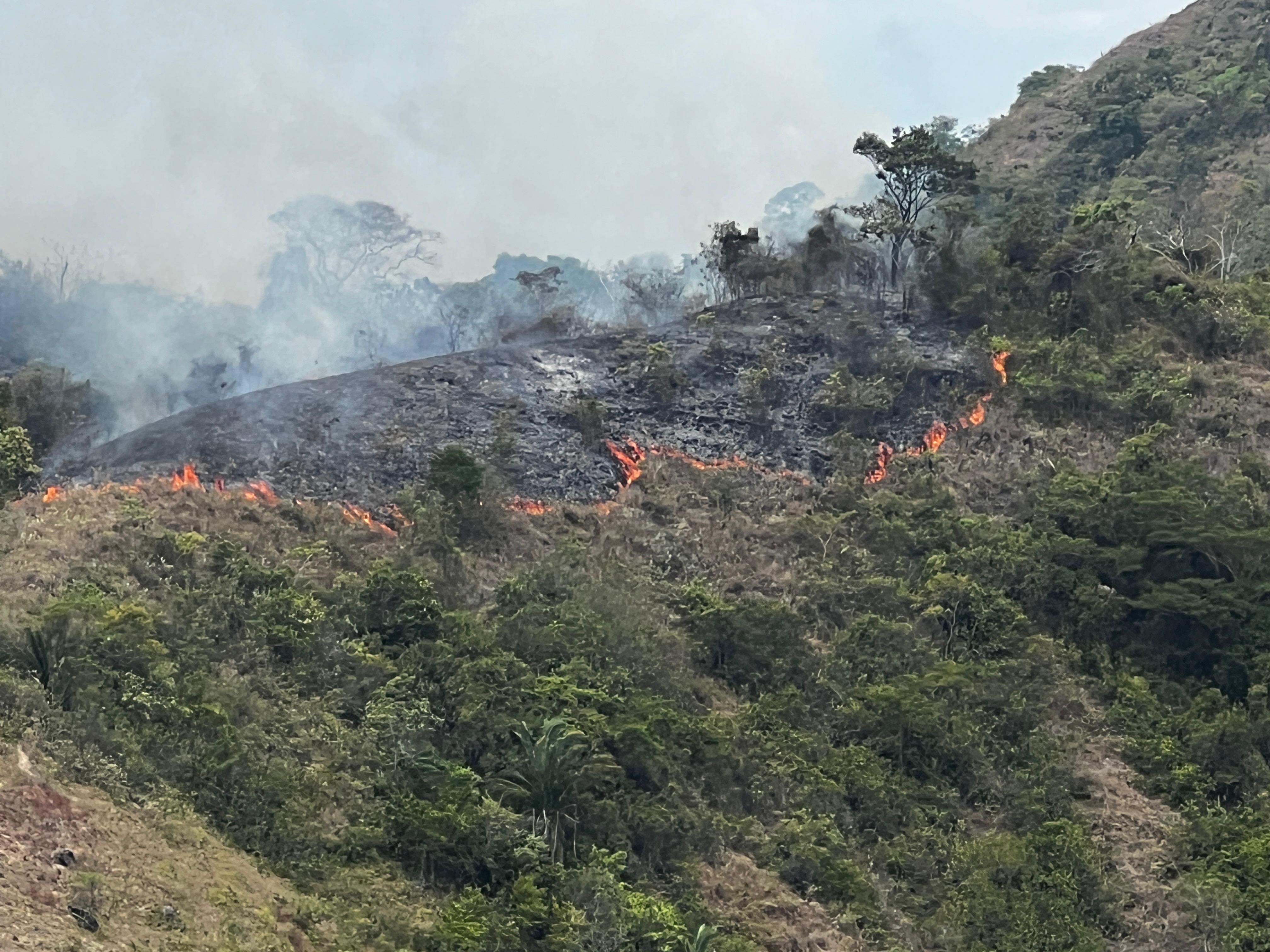 Incendio de cobertura vegetal en el Tolima