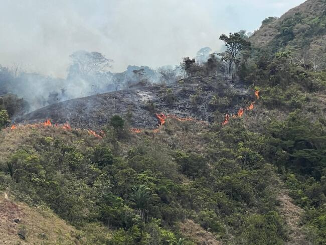 Incendio de cobertura vegetal en el Tolima