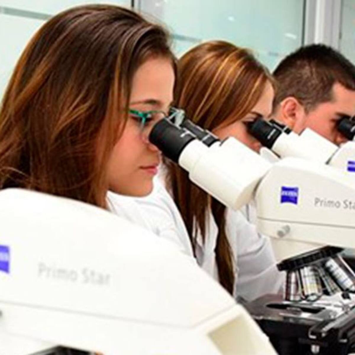 Universidad Cooperativa recibe cinco acreditaciones internacionales