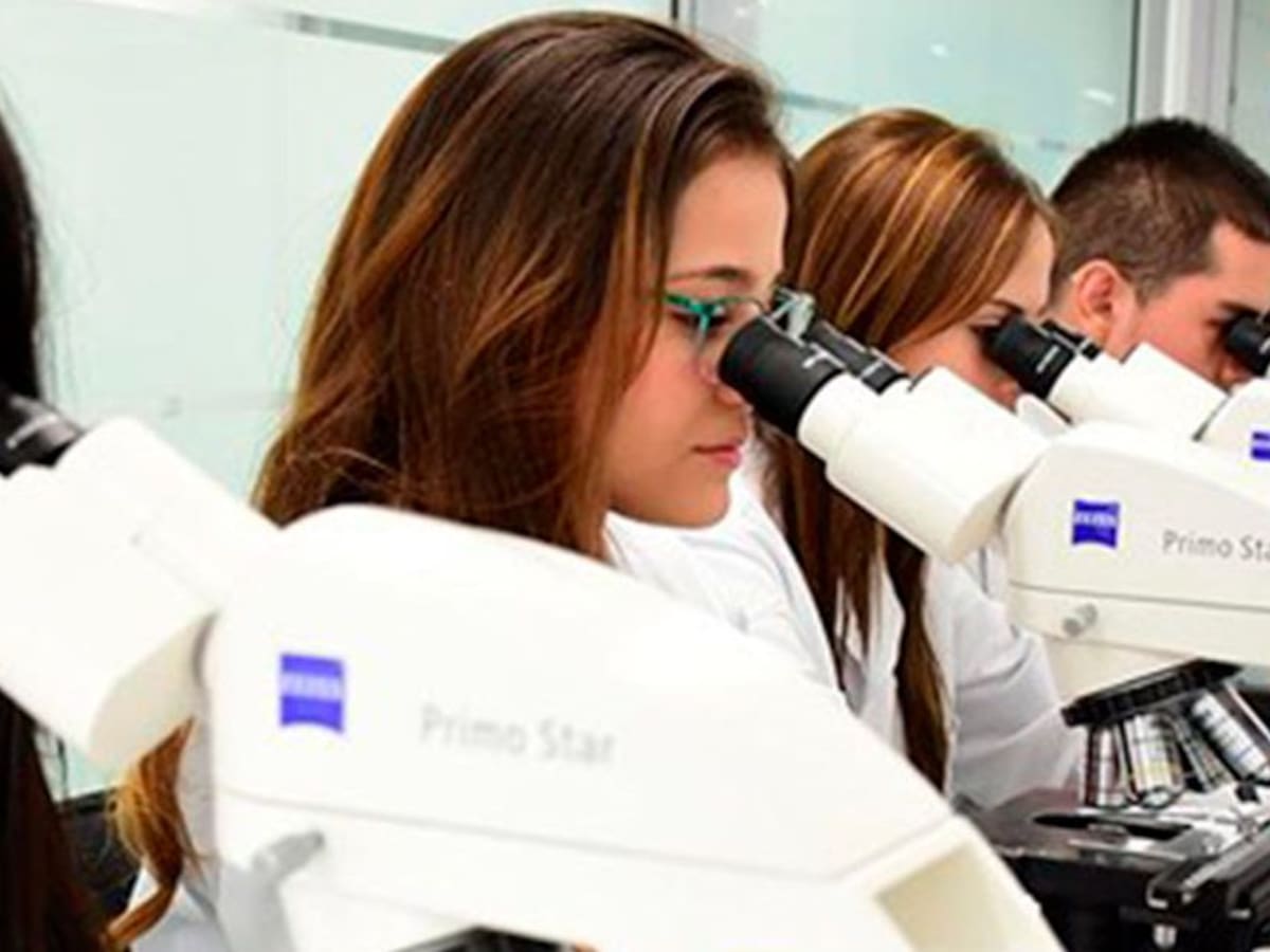 Universidad Cooperativa recibe cinco acreditaciones internacionales