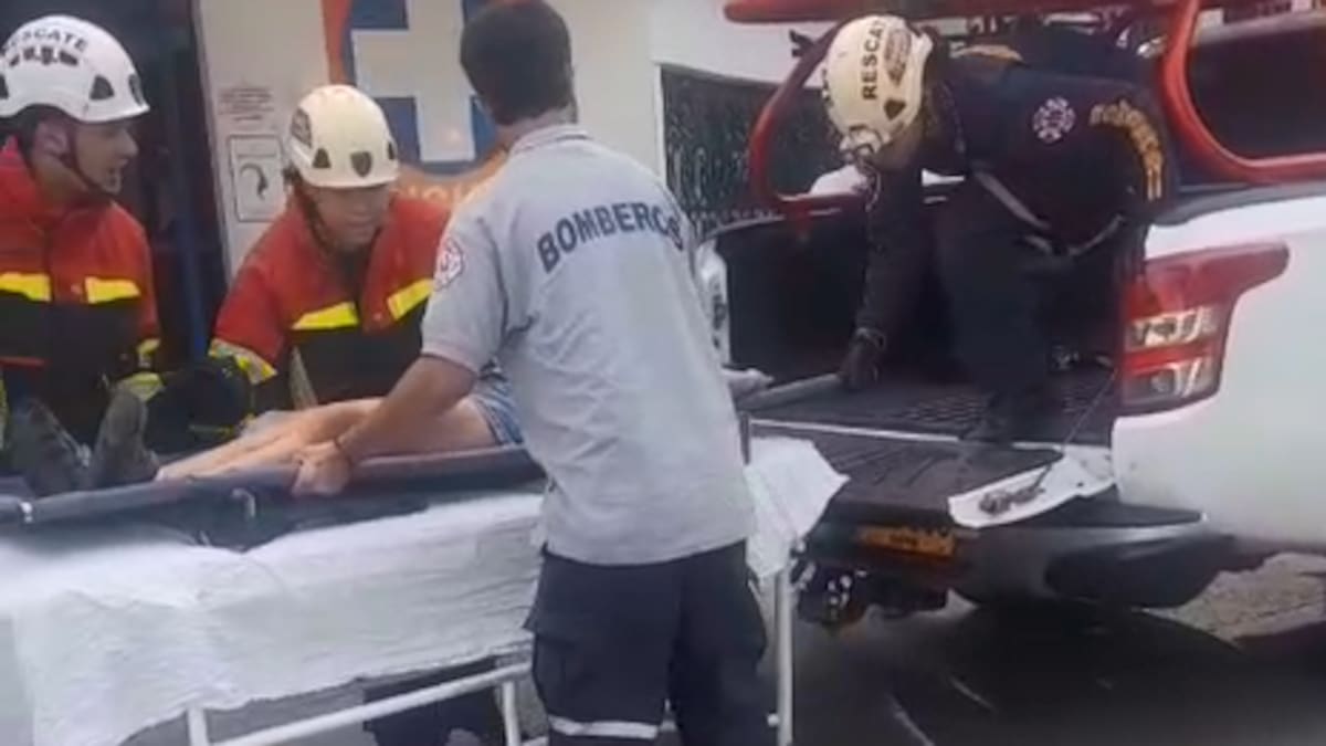 Dos adultos y una menor fueron atacados por un enjambre de abejas en Ciudad Bolívar, Antioquia