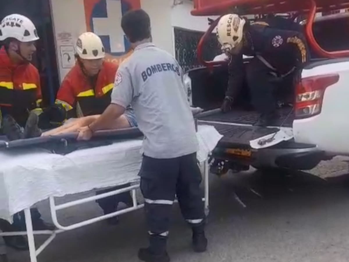 Dos adultos y una menor fueron atacados por un enjambre de abejas en Ciudad Bolívar, Antioquia