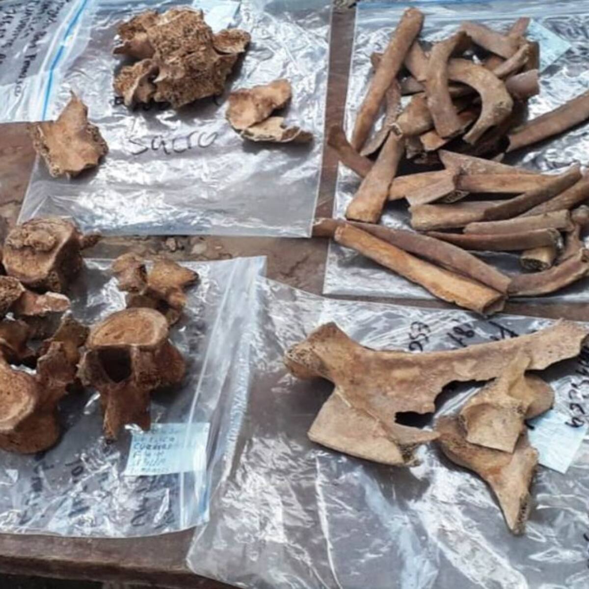 Más de 11 mil hallazgos arqueológicos en la obra de Transversal del Sisga