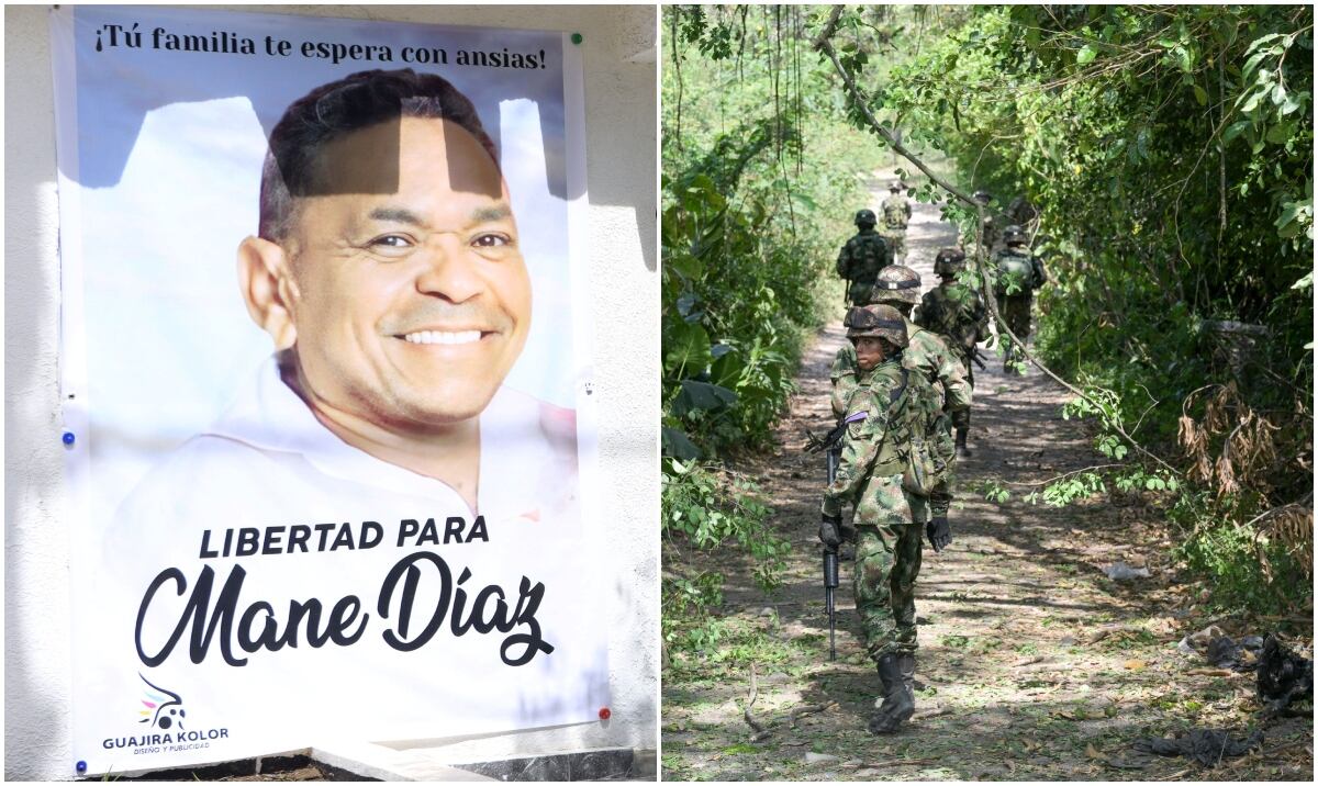 EJército de Colombia y Luis Manuel Díaz - Archivo