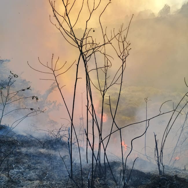 Incendio forestal presentado en Bello. Foto: Cortesía Alcaldía de Bello, Antioquia
